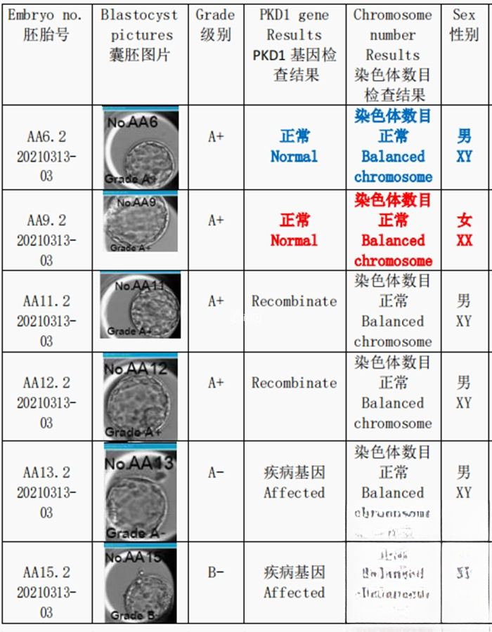 筛查报告2