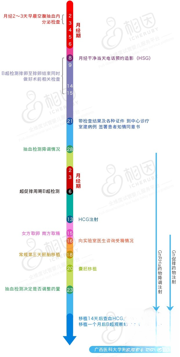 试管婴儿详细流程讲解