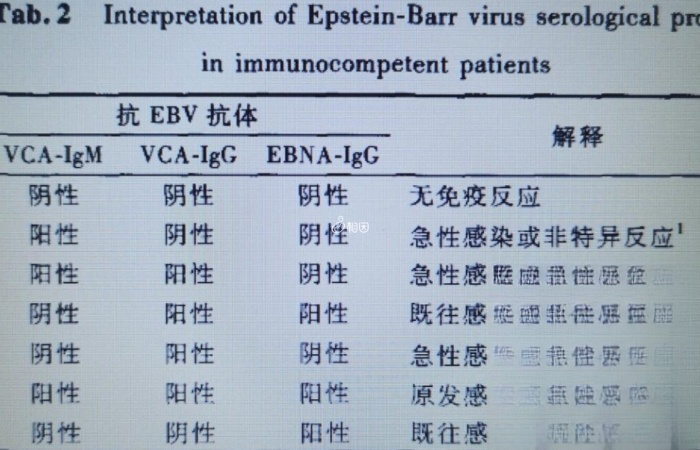 eb病毒五项检测报告中有五个数据