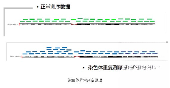 染色体异常判定原理