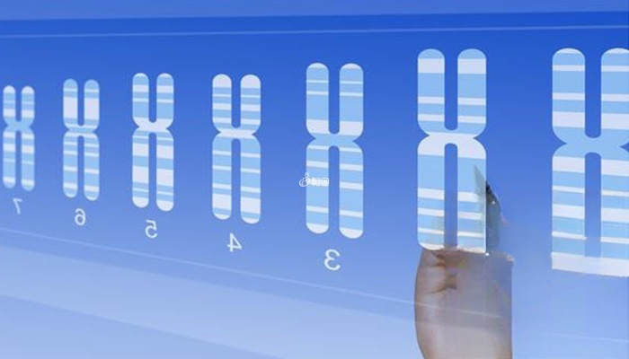 泰国ngs技术可筛查23对染色体
