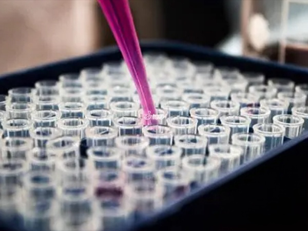 囊胚移植前需要进行pgd检查