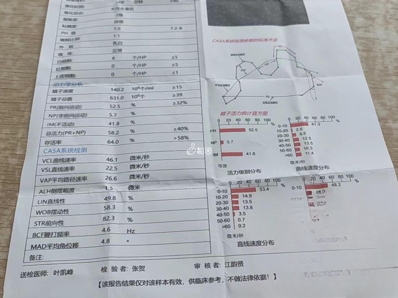 精液结果分析单