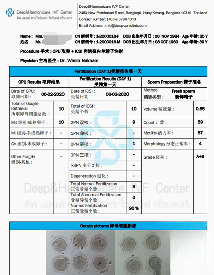 授精报告