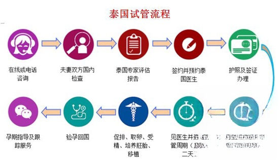 泰国试管婴儿流程图