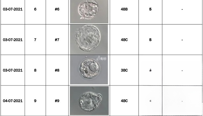 养囊成功9个