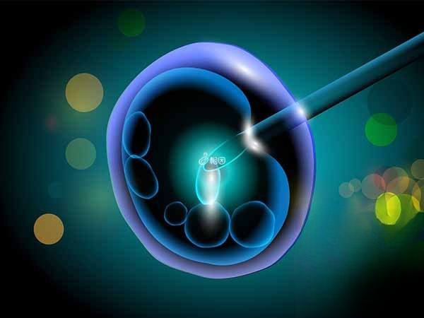 丽阳助孕中心获得多项荣誉