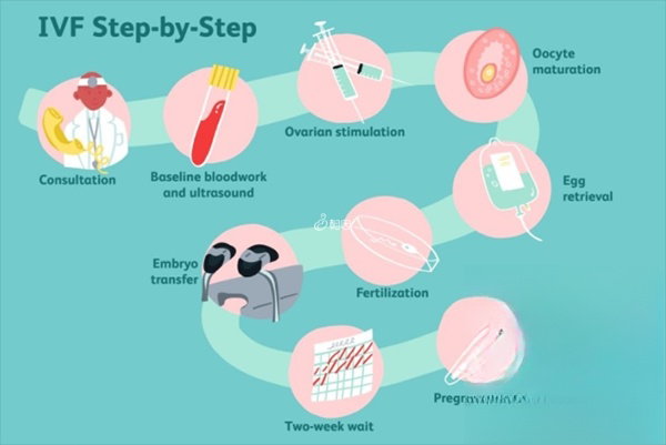 赴美做试管婴儿的流程图