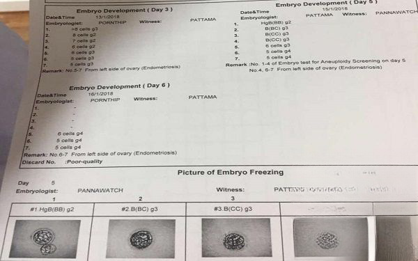 泰国EK出久出囊胚报表