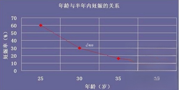 年龄与试管婴儿成功率