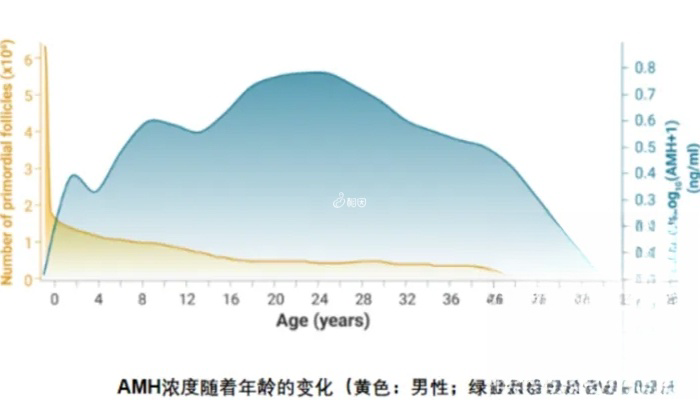 amh值随着年龄会变化