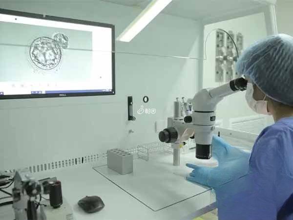 考察团参观了丽阳医院的IVF实验室