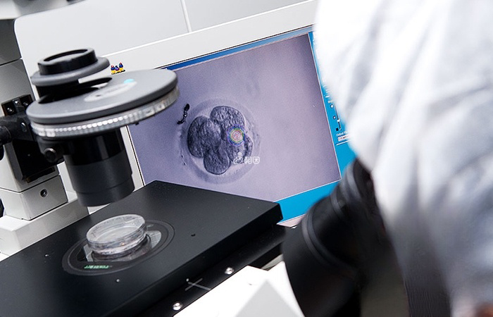 试管成功率与实验室技术有关