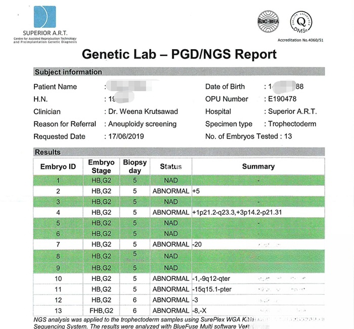 13个囊胚筛查结果