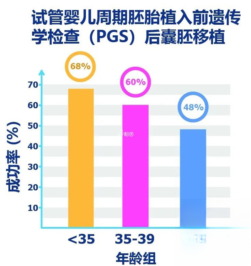 马来西亚tmc医院三代囊胚移植成功率