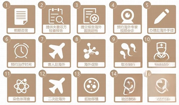 格鲁吉亚试管婴儿助孕流程