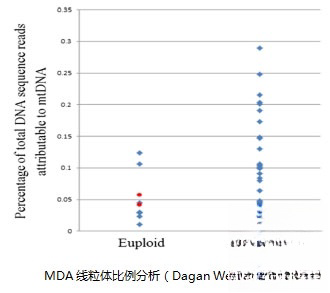 MDA线粒体比例