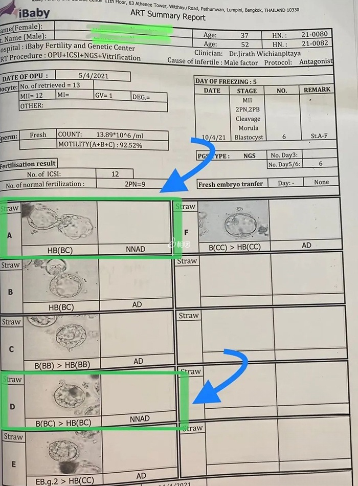 成功筛出两个健康胚胎