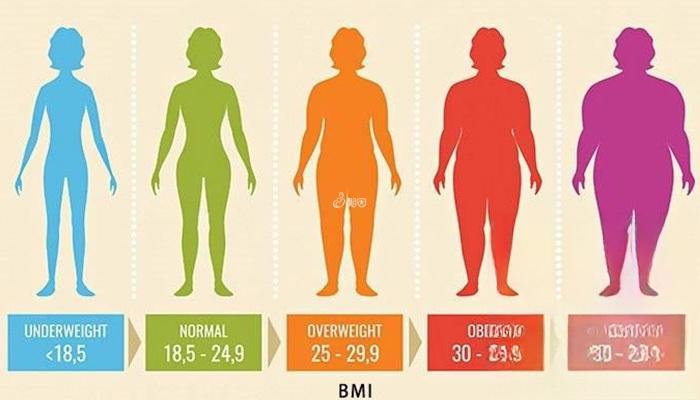国际bmi指数值