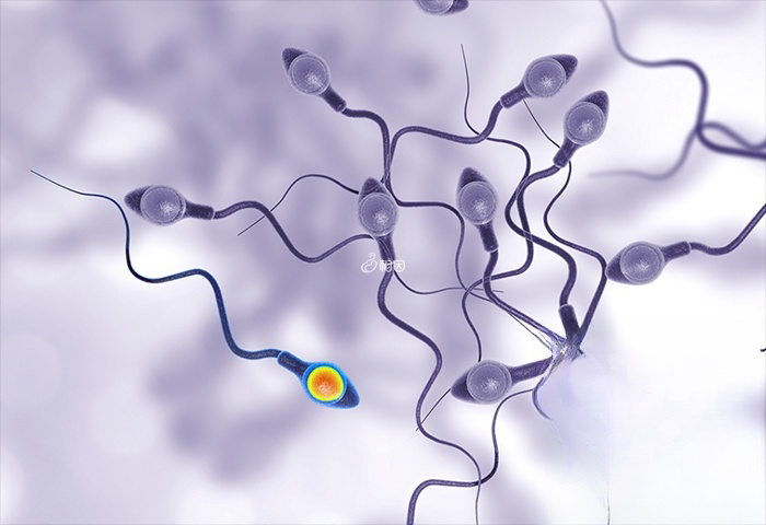 男方精子碎片率高