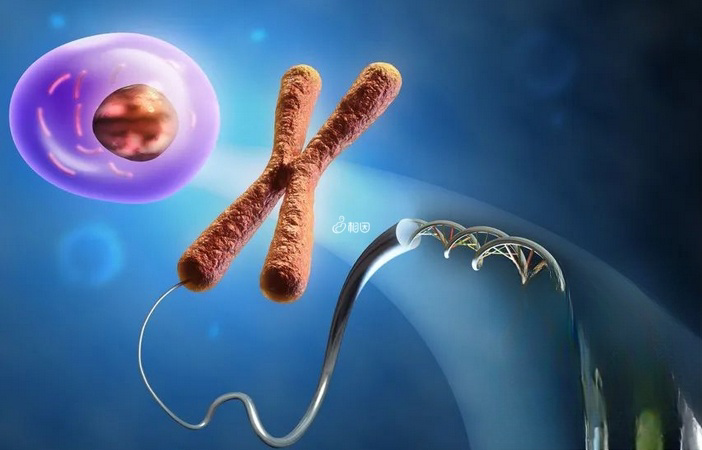 在泉州能够做染色体检查的医院并不少