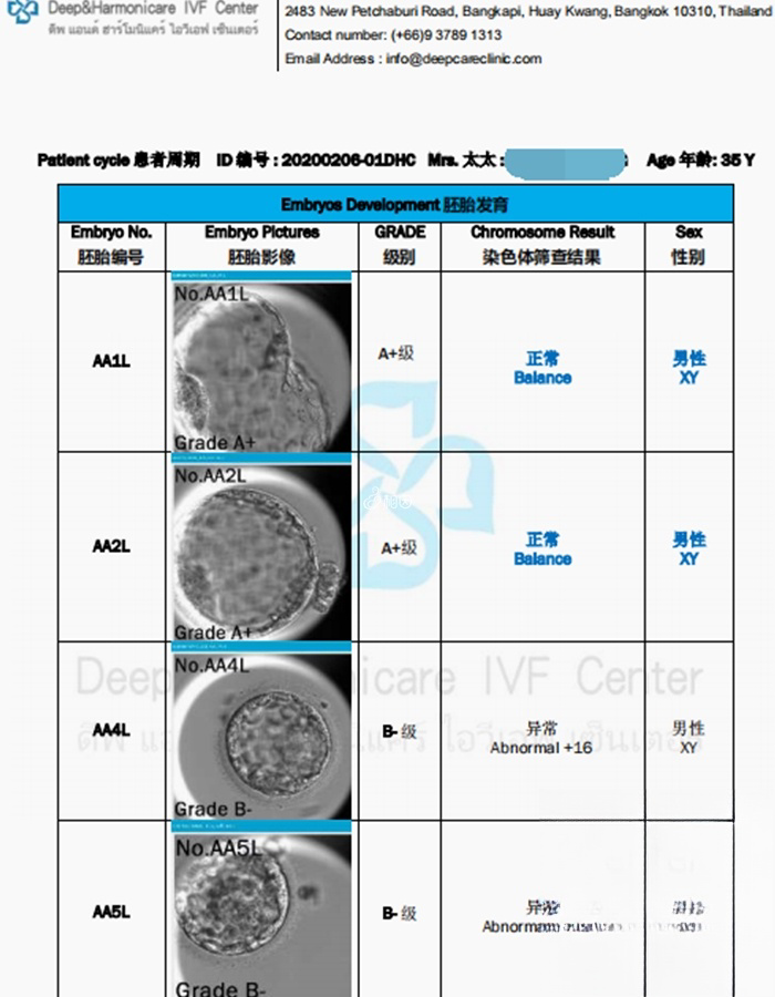 囊胚筛查结果