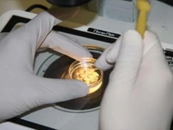 美国三代试管婴儿技术可以筛选胎儿性别