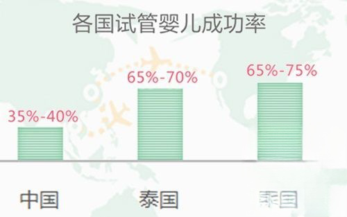 ibaby医院自卵试管成功率高吗