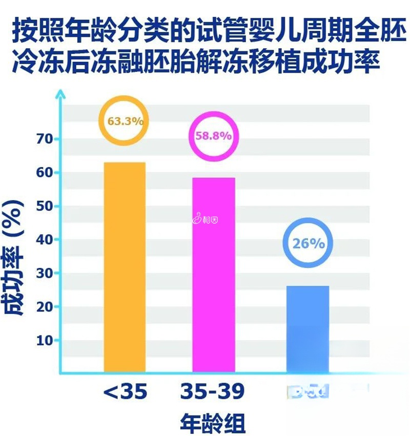 冻胚解冻移植成功率