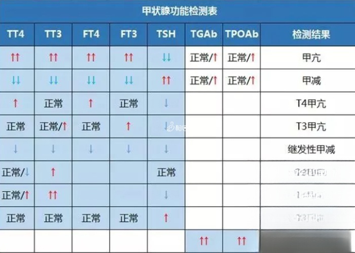 甲状腺功能检测表