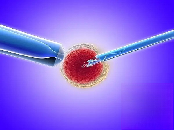 选择正规的试管中介才能提高成功率