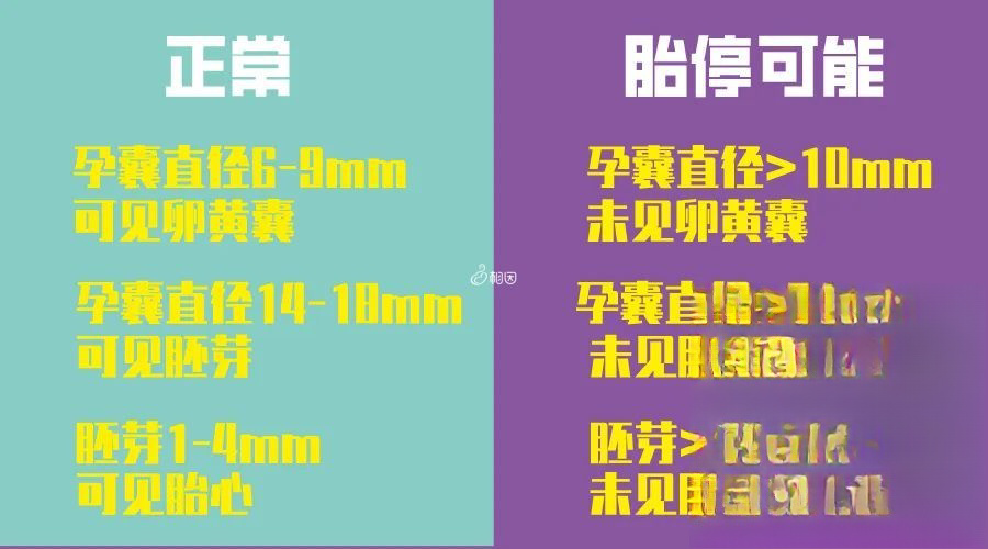 成功怀孕与胎停的B超结果对比
