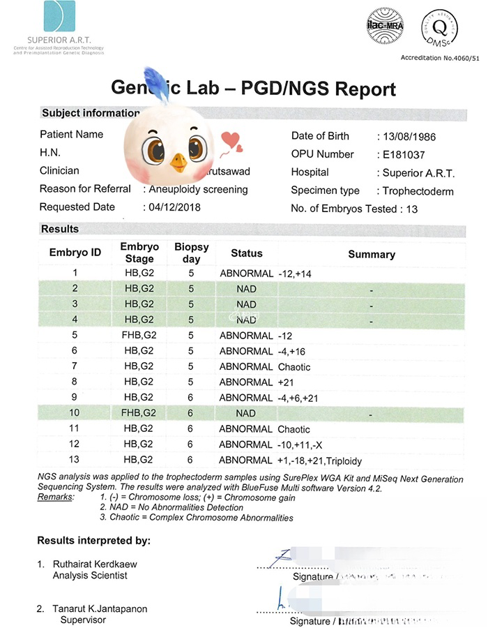 胚胎筛查结果