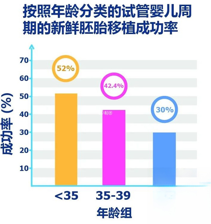 鲜胚移植成功率