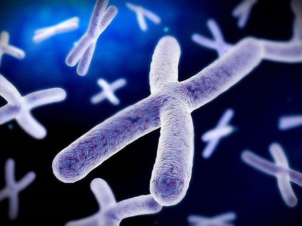 染色体异常怀孕