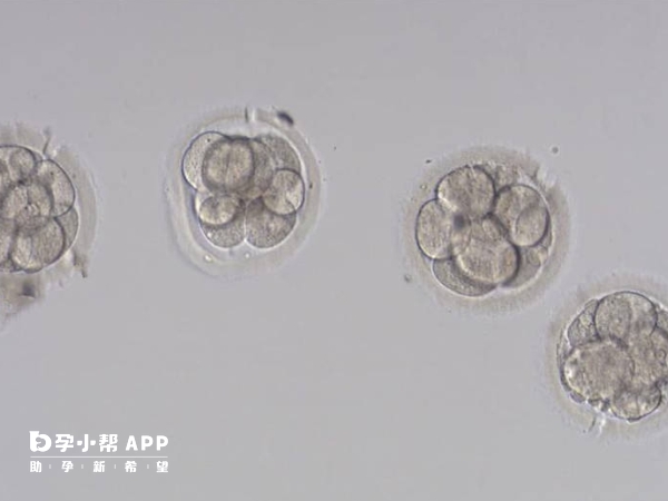 17个基础卵泡是多囊