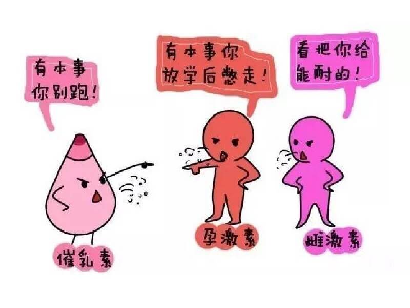 催乳激素的作用