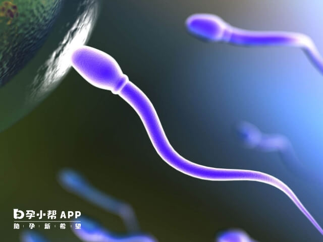 男性备孕前通过运动可提升精子质量