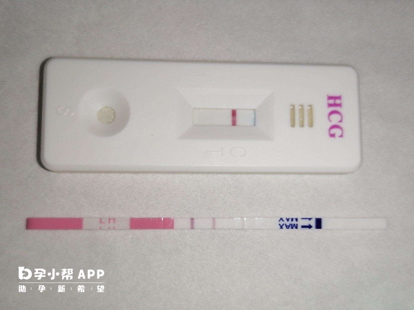 促排第20天测到一条杠