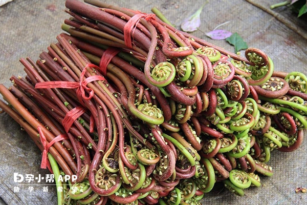 生蕨菜过量食用可能中毒