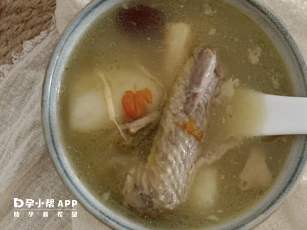 鸽子汤