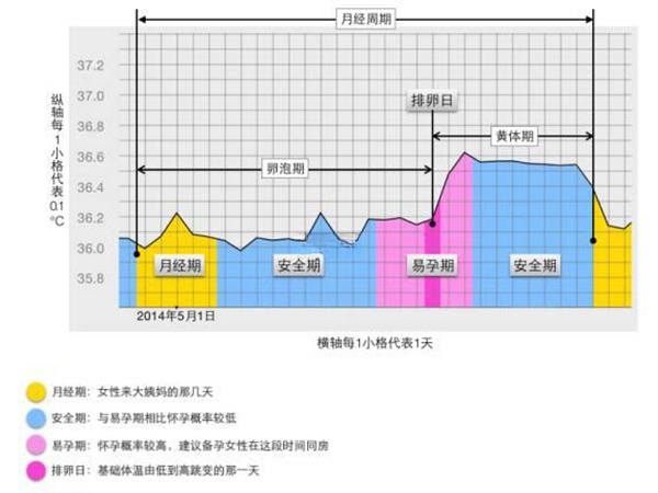 基础体温也可以推算预产期