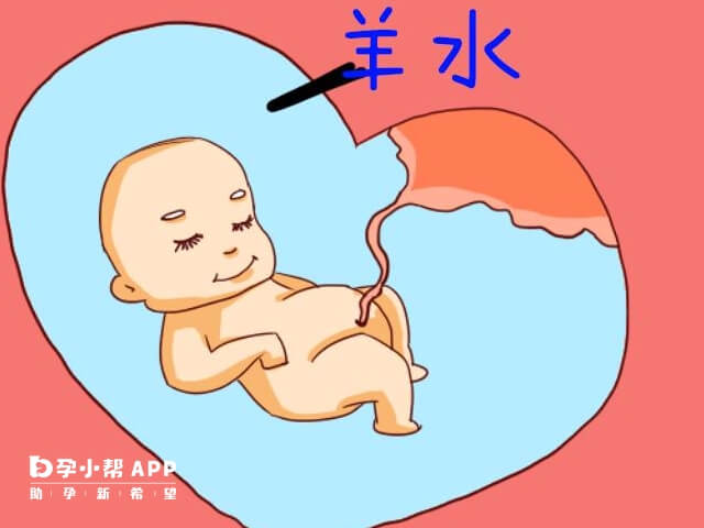 孕期羊水量会不断的发生变化