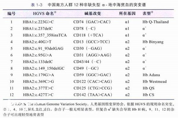 O型血可能携带地贫