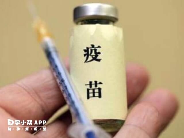 预防破风打百白破和四联都可以