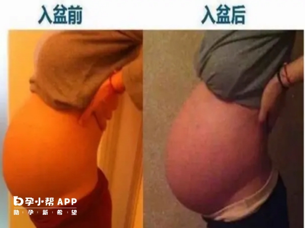 入盆前后肚子区别